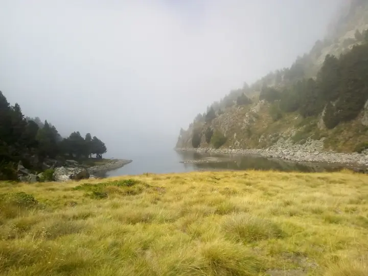 Un étang dans la brume, bordé d’herbe dorée